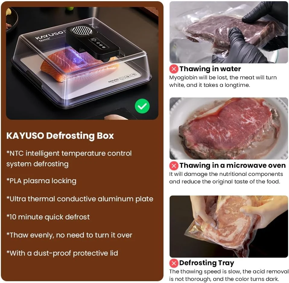 KAYUSO USB Rechargeable Meat Defrosting Tray (detail 1)
